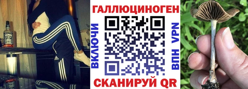 Псилоцибиновые грибы GOLDEN TEACHER  где купить наркоту  Брюховецкая 